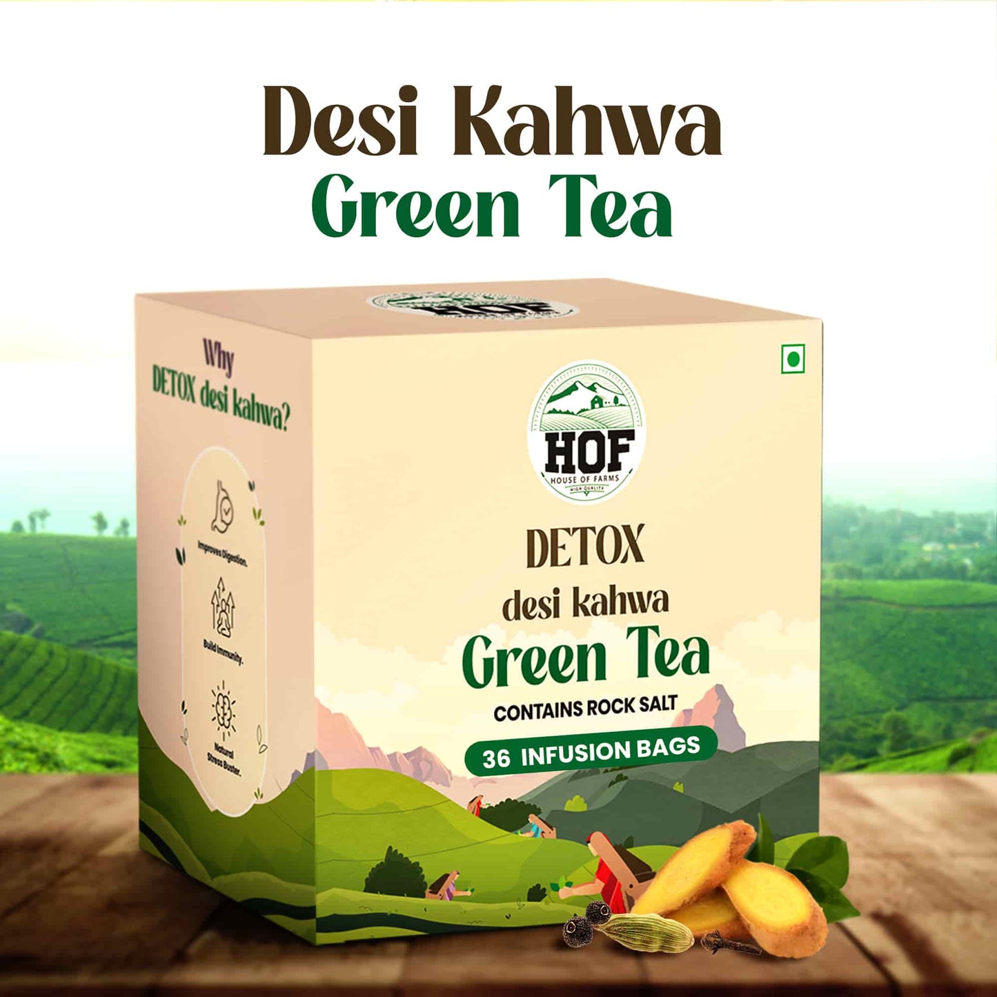 Detox Desi Kahwa Green Tea with 36 Infusion Bags (75gms)
